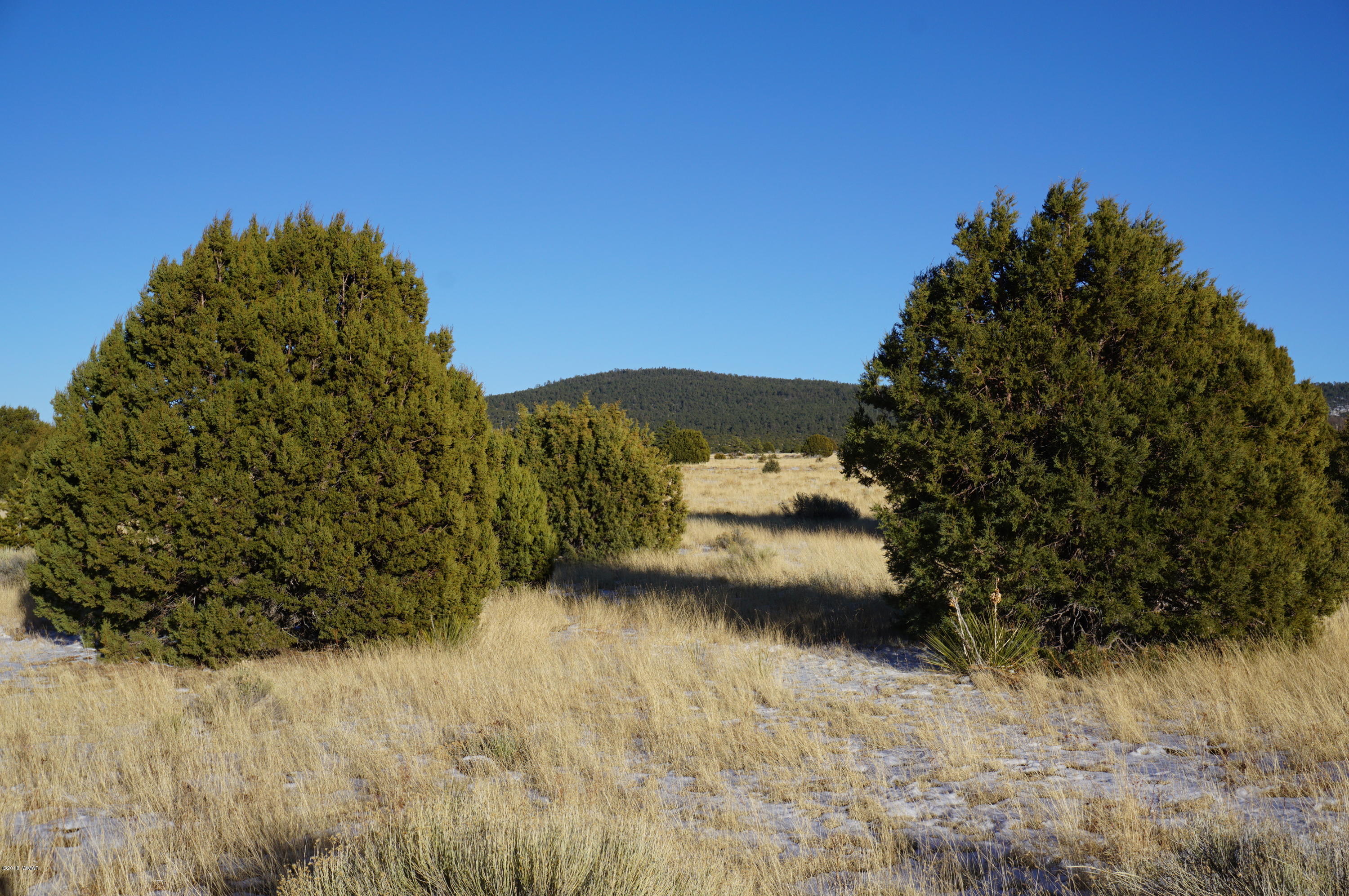 150 Co Road Springerville, AZ 85938 - Photo 31 of 46
