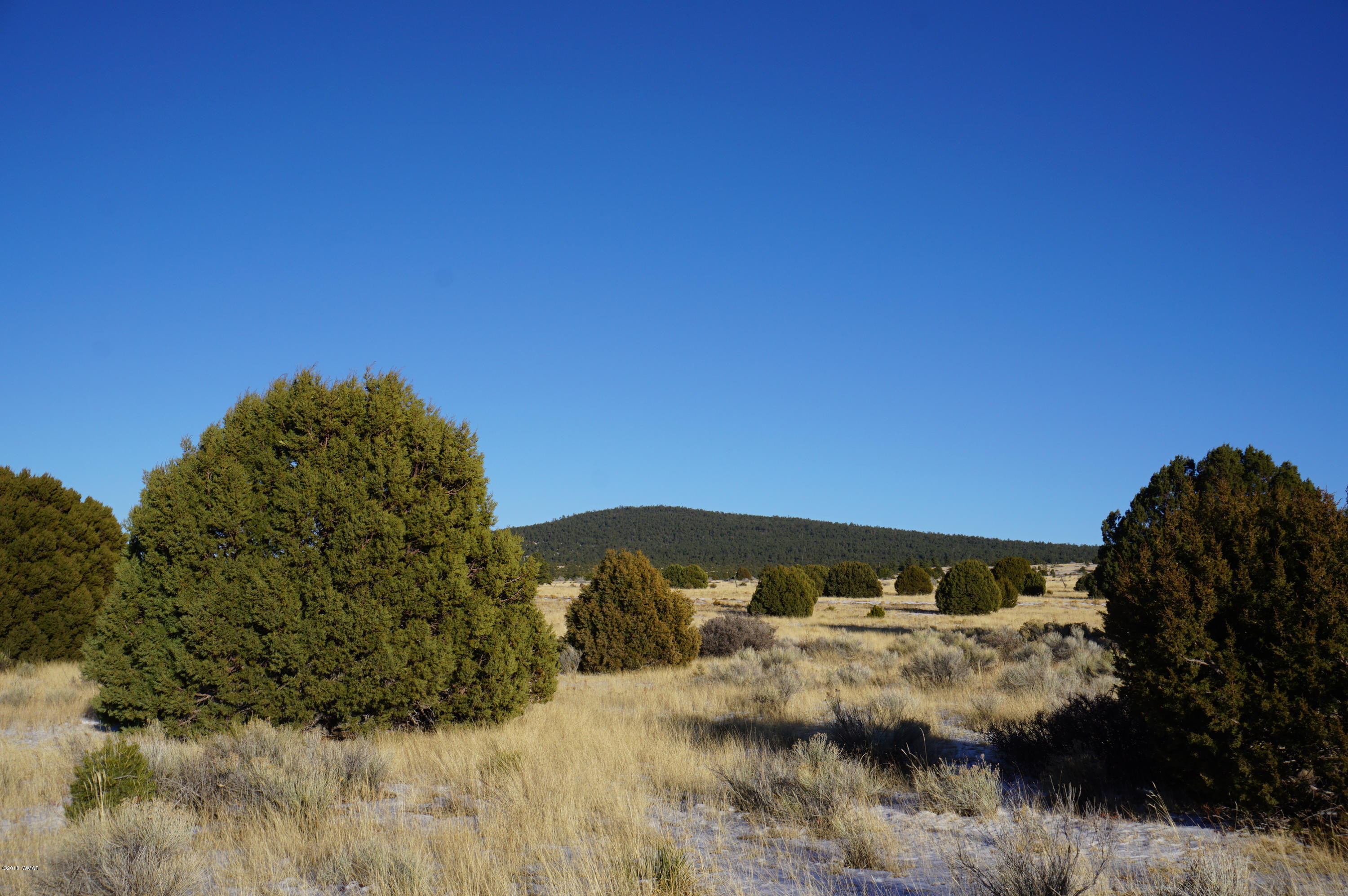150 Co Road Springerville, AZ 85938 - Photo 33 of 46