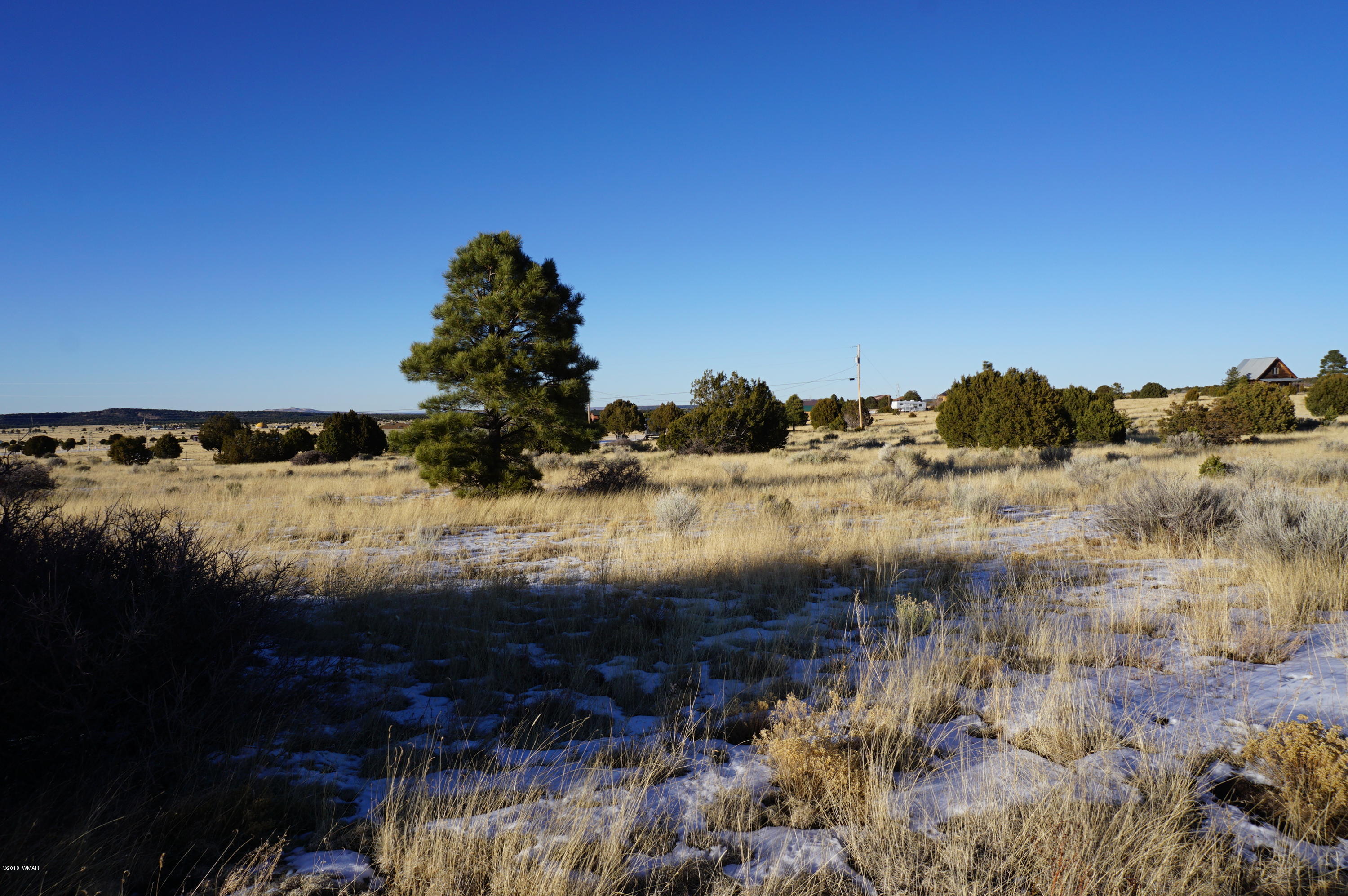 150 Co Road Springerville, AZ 85938 - Photo 36 of 46