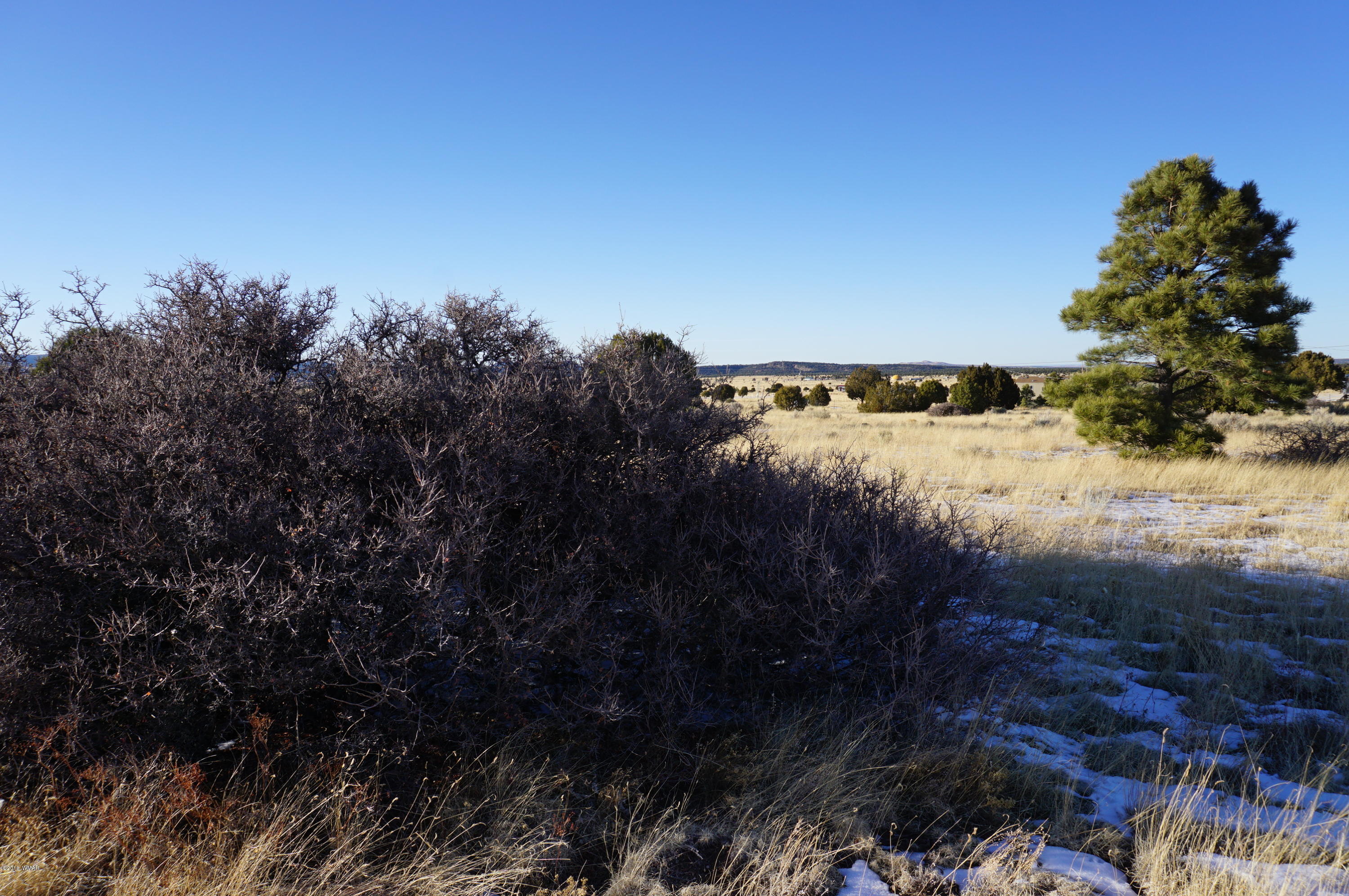 150 Co Road Springerville, AZ 85938 - Photo 37 of 46