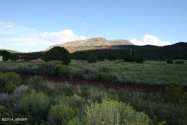 150 Co Road Springerville, AZ 85938 - Photo 39 of 46