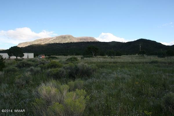 150 Co Road Springerville, AZ 85938 - Photo 40 of 46