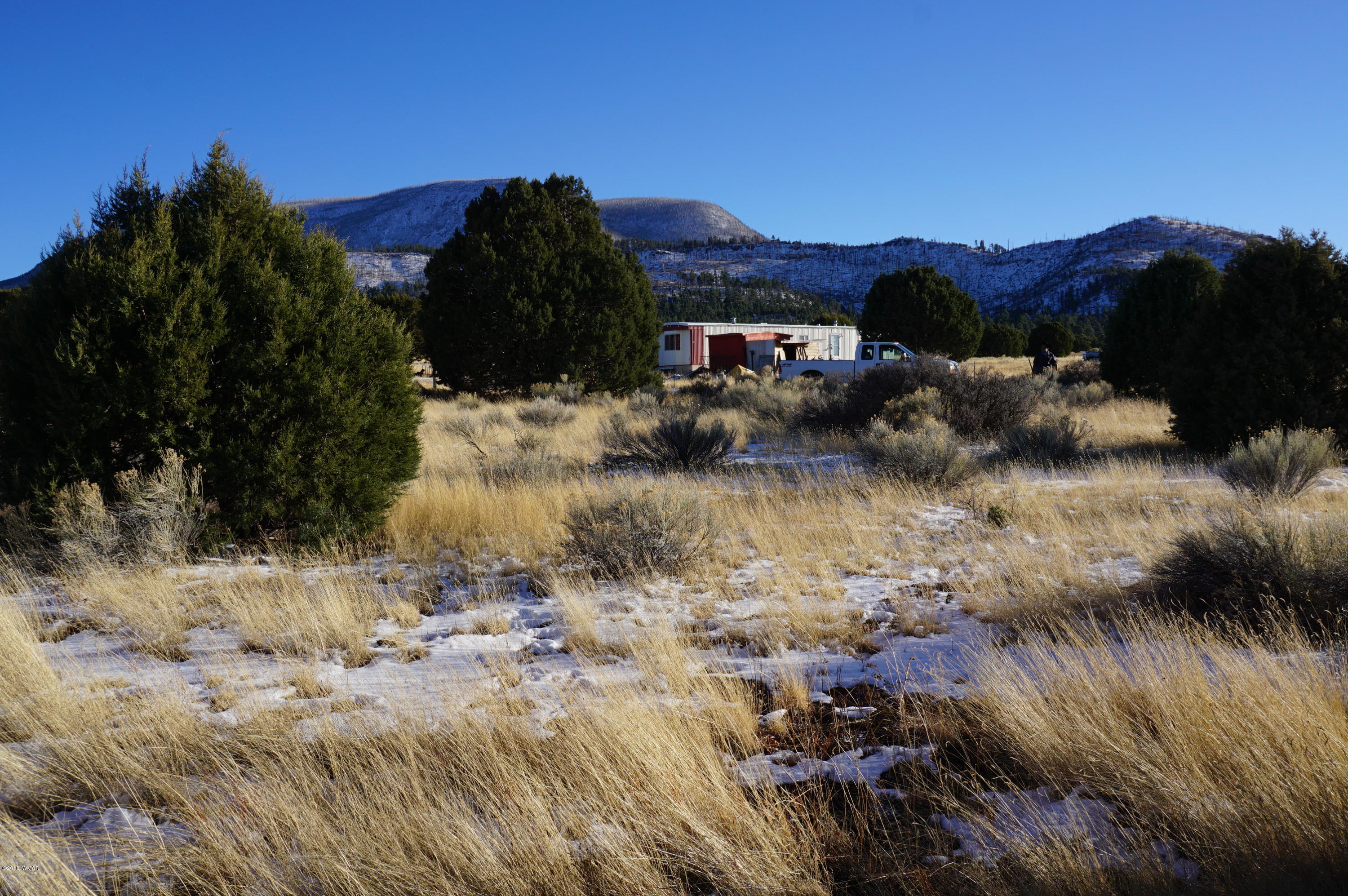 150 Co Road Springerville, AZ 85938 - Photo 4 of 46