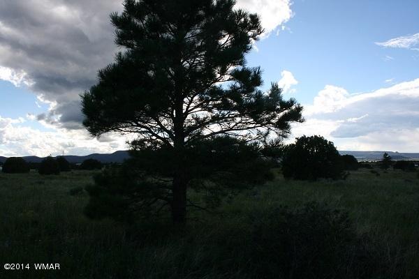 150 Co Road Springerville, AZ 85938 - Photo 41 of 46