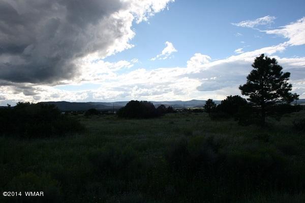 150 Co Road Springerville, AZ 85938 - Photo 42 of 46