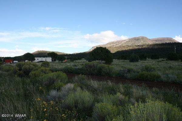 150 Co Road Springerville, AZ 85938 - Photo 43 of 46
