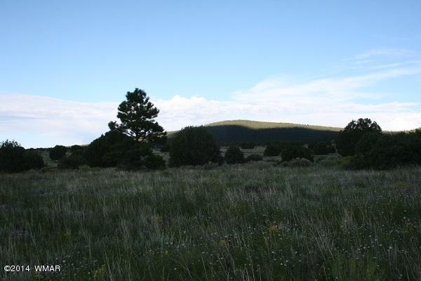 150 Co Road Springerville, AZ 85938 - Photo 44 of 46