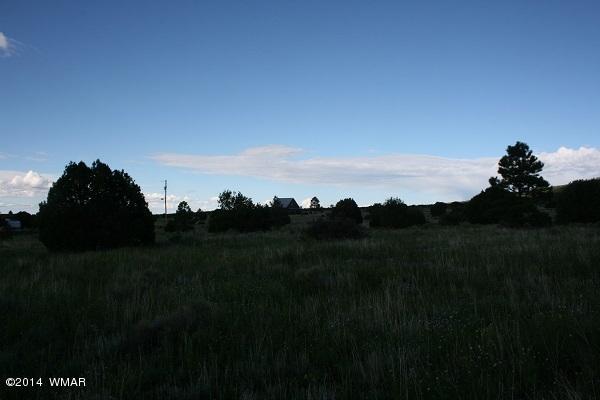 150 Co Road Springerville, AZ 85938 - Photo 45 of 46