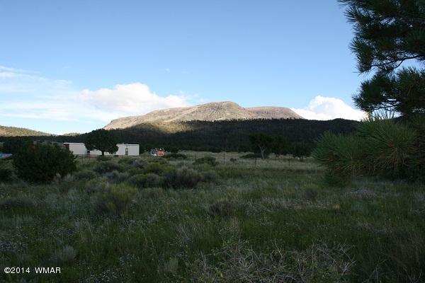 150 Co Road Springerville, AZ 85938 - Photo 46 of 46