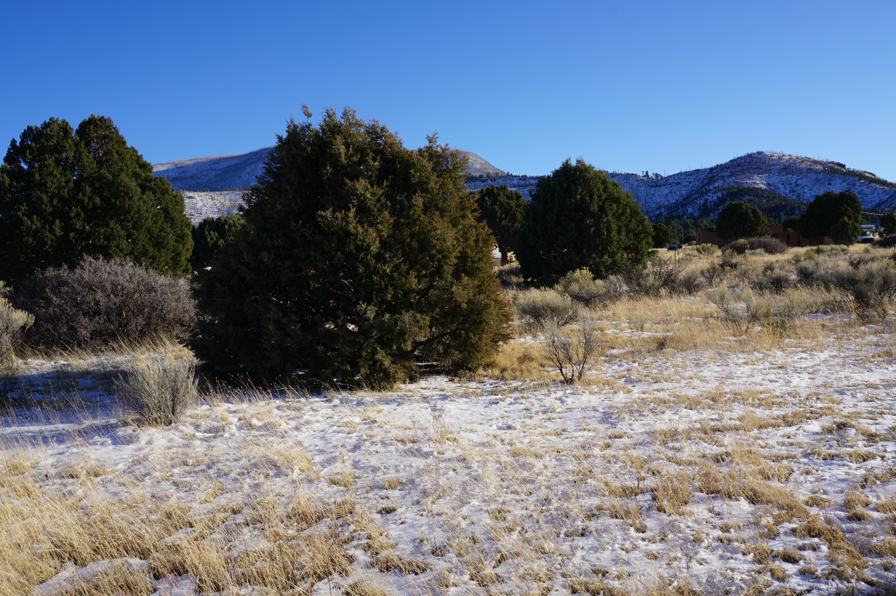 150 Co Road Springerville, AZ 85938 - Photo 6 of 46