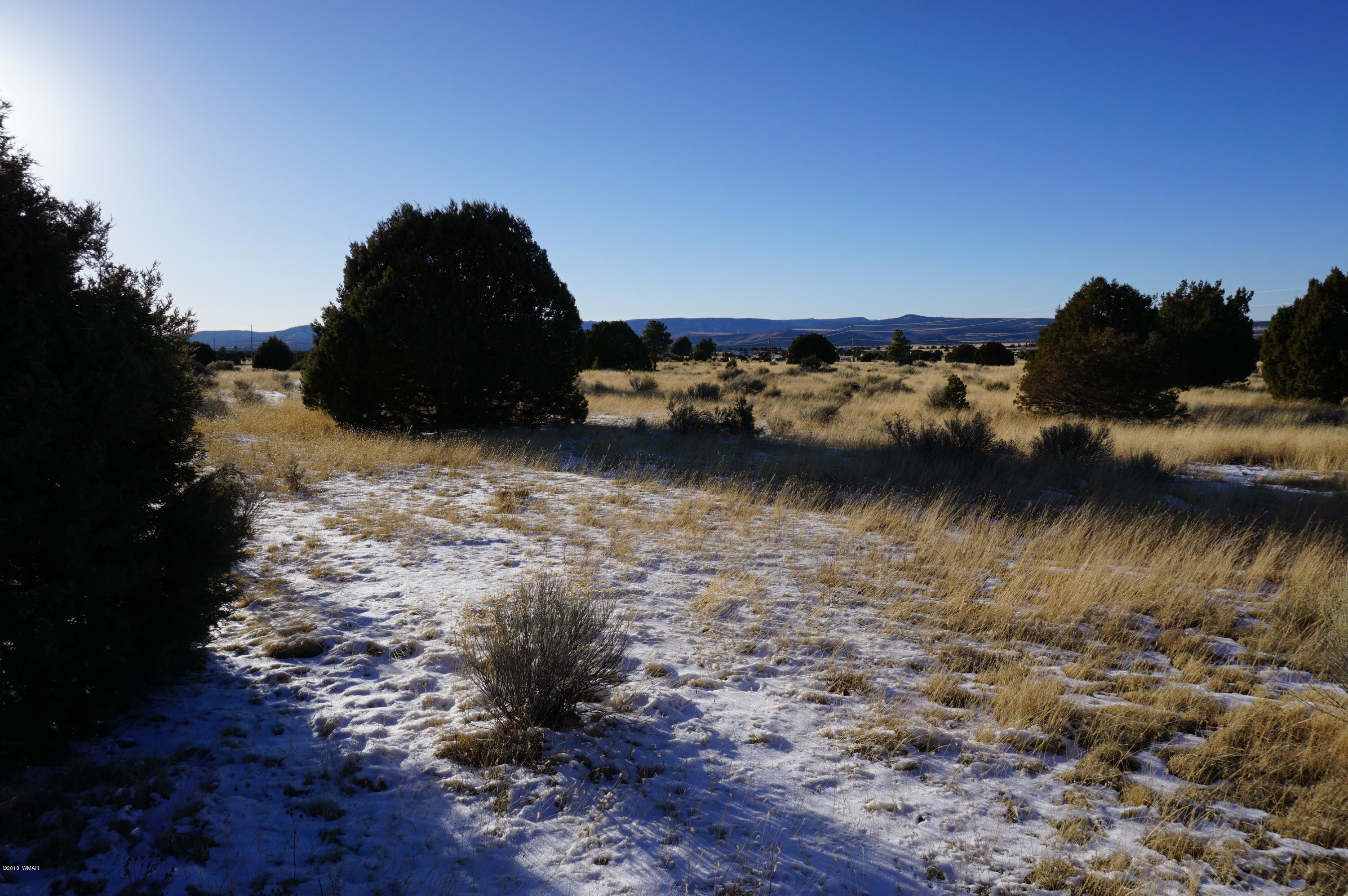 150 Co Road Springerville, AZ 85938 - Photo 9 of 46