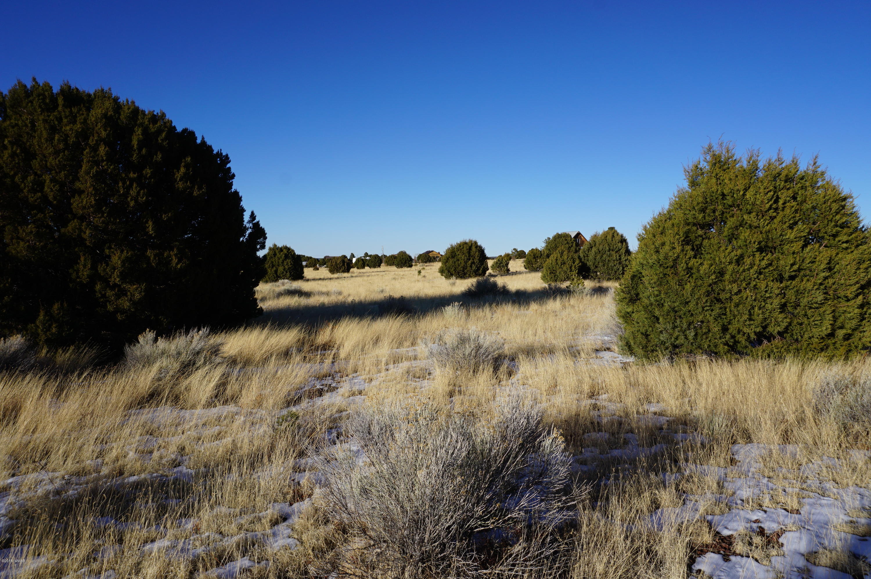 150 Co Road Springerville, AZ 85938 - Photo 10 of 46