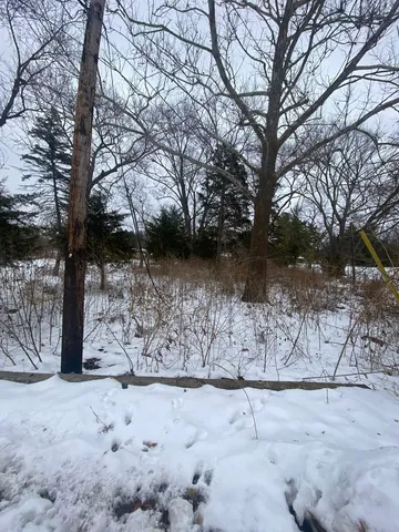 a view of a yard covered with snow in the front of statue