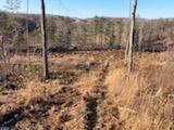 Grassy Meadows Road Alderson, WV 24910 - Photo 7 of 27 Gallery Image 7