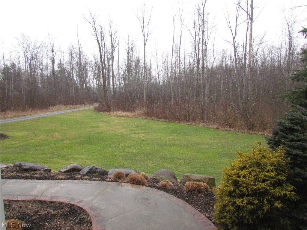 10780 Bell Road Newbury, OH 44065 - Photo 30 of 31 View from front door