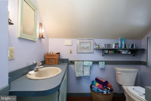 a bathroom with a sink a toilet and a mirror