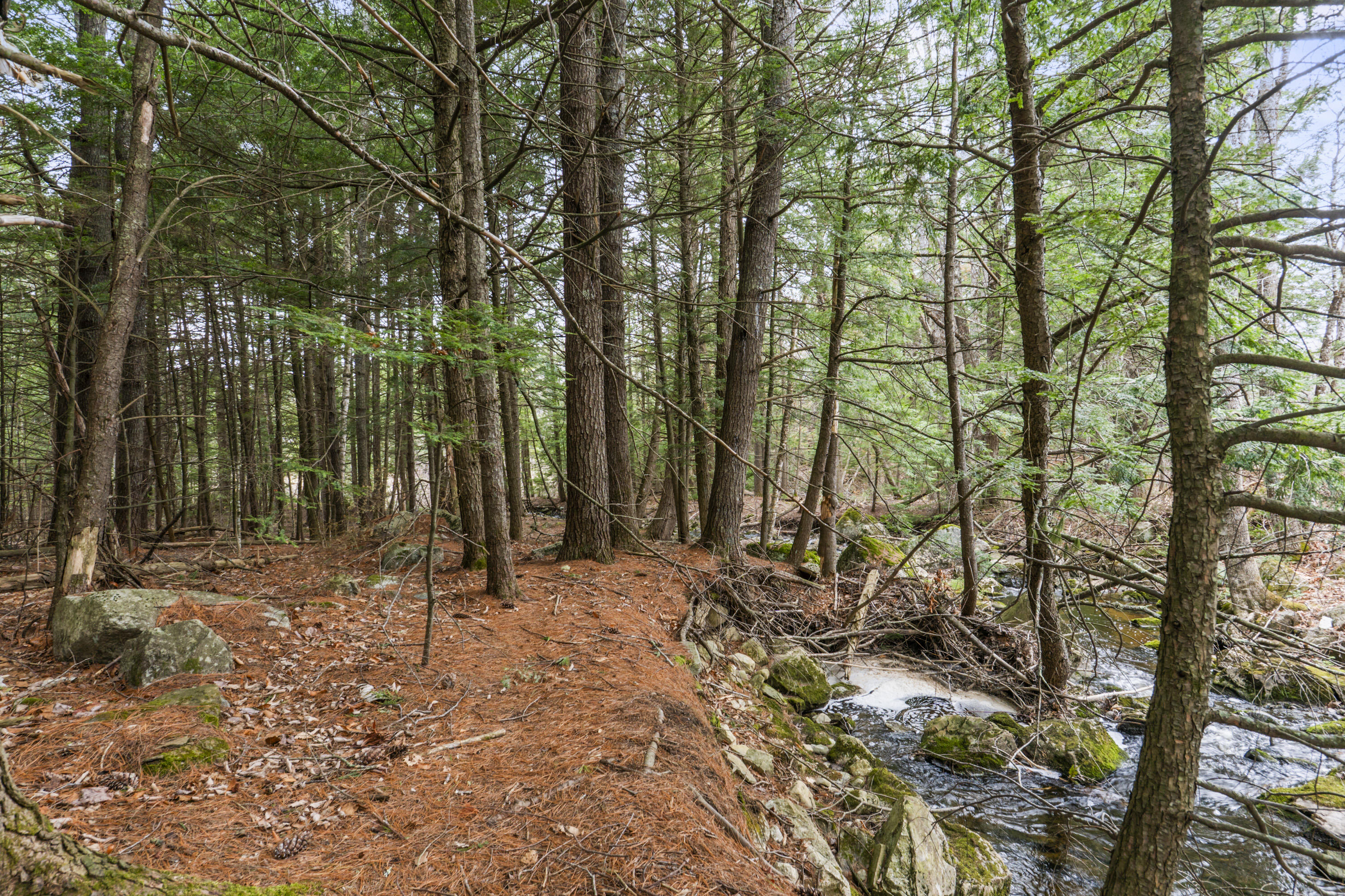 0 Bowdoinham Road, Unit LOT B Lisbon, ME 04252 - Photo 11 of 18 11