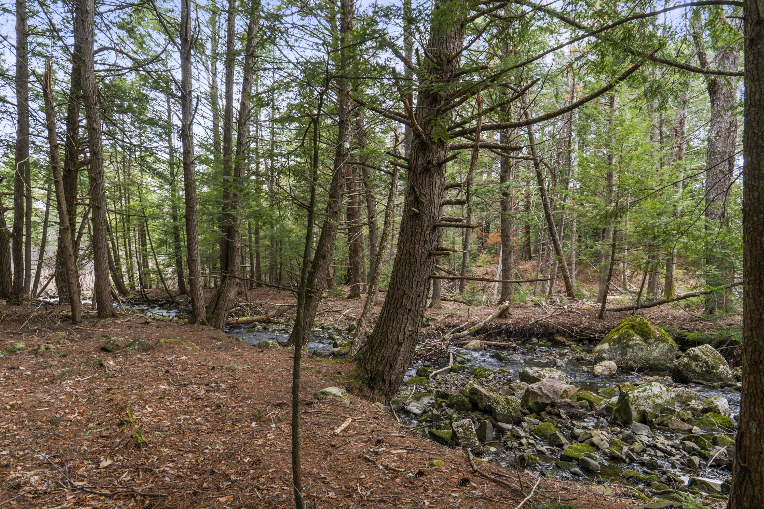 0 Bowdoinham Road, Unit LOT B Lisbon, ME 04252 - Photo 13 of 18 13