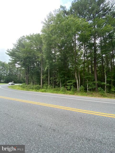 Lot 46 Forest Grove Road Parsonsburg, MD 21849 - Photo 2 of 2 Gallery Image 2