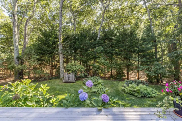 a wooden bench with some plants