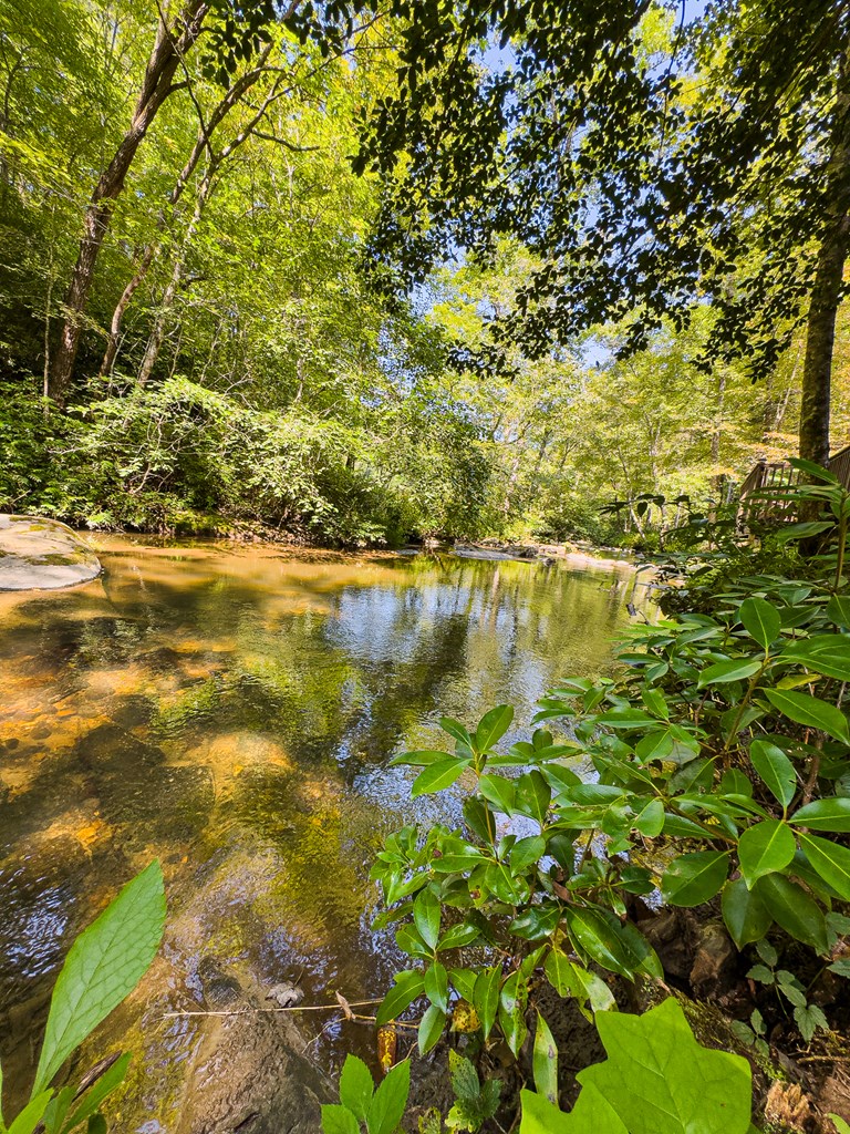 277 Virginia Lane Murphy, NC 28906 - Photo 45 of 62