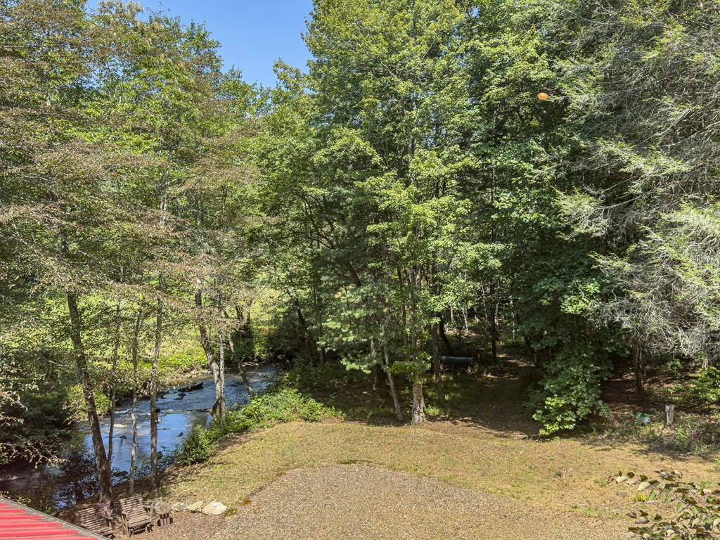 277 Virginia Lane Murphy, NC 28906 - Photo 52 of 62 a view of a yard with plants and trees