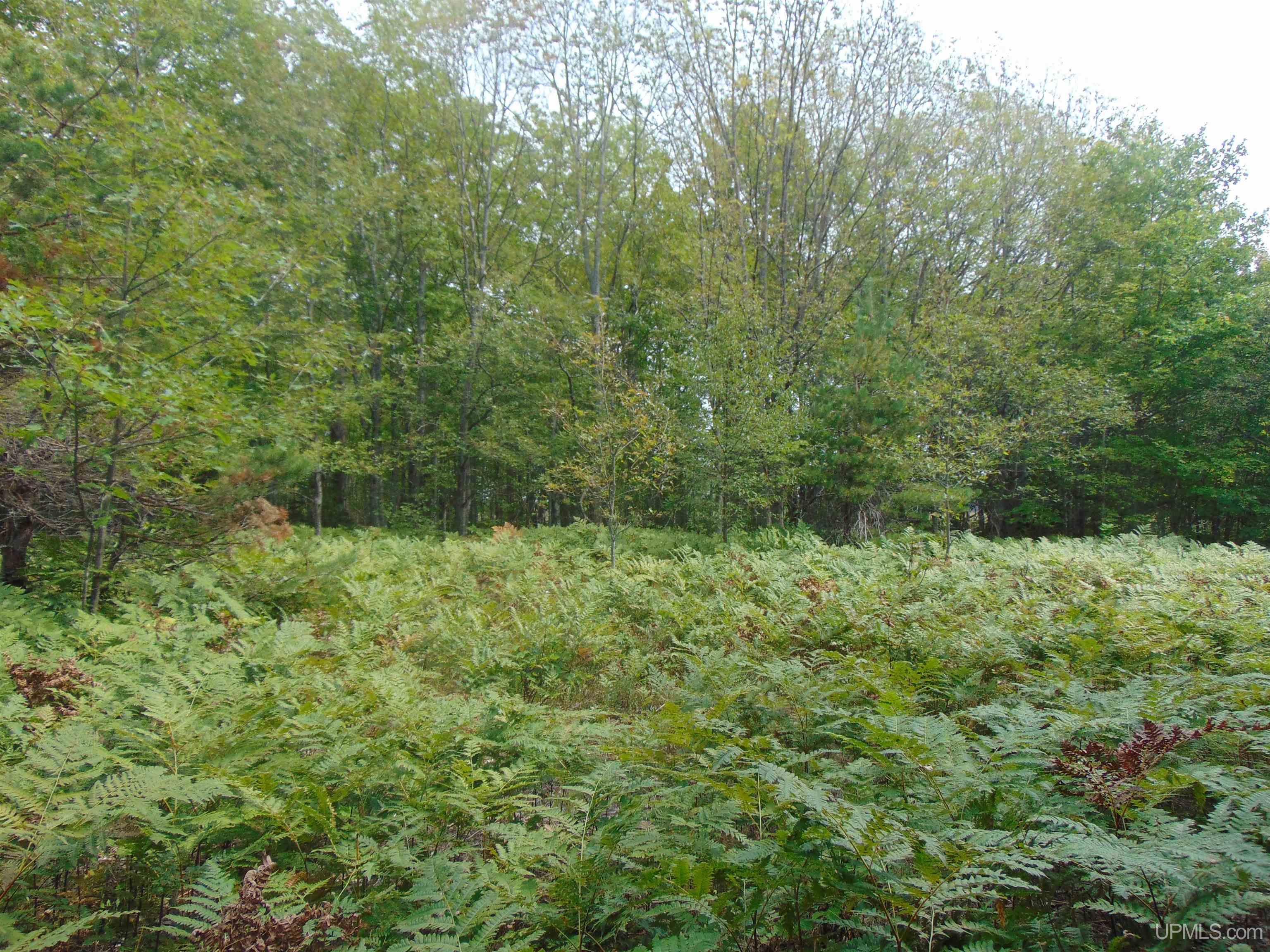 15 Coles Creek Road Atlantic Mine, MI 49905 - Photo 10 of 31