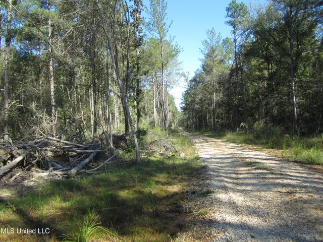 $50,000 | 43 Hwy Oak Vale Ms 39656, Oak Vale, MS 39656