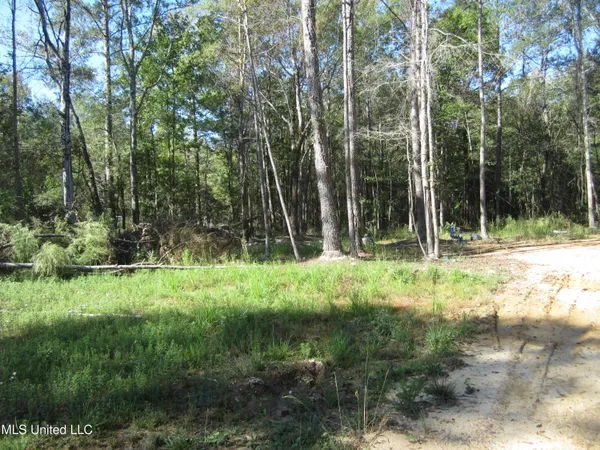 $45,000 | 43 Hwy Oak Vale Ms 39656, Oak Vale, MS 39656