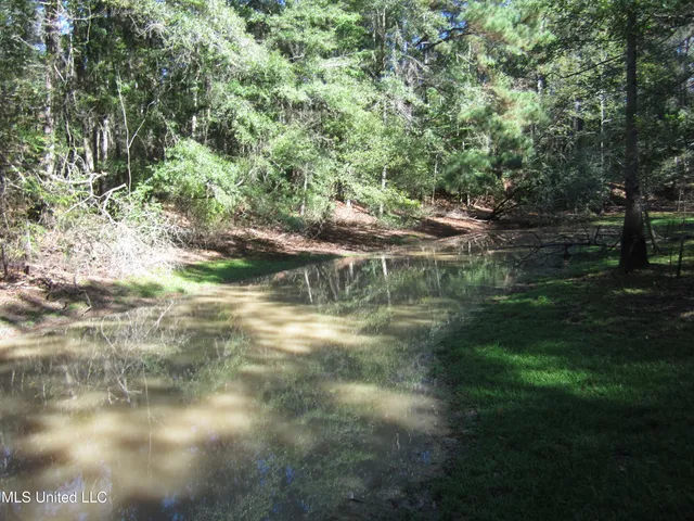 $50,000 | 43 Hwy Oak Vale Ms 39656, Oak Vale, MS 39656