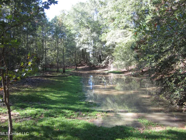 $50,000 | 43 Hwy Oak Vale Ms 39656, Oak Vale, MS 39656