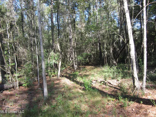 $50,000 | 43 Hwy Oak Vale Ms 39656, Oak Vale, MS 39656