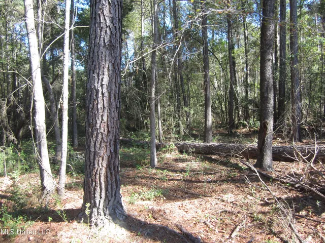 $50,000 | 43 Hwy Oak Vale Ms 39656, Oak Vale, MS 39656