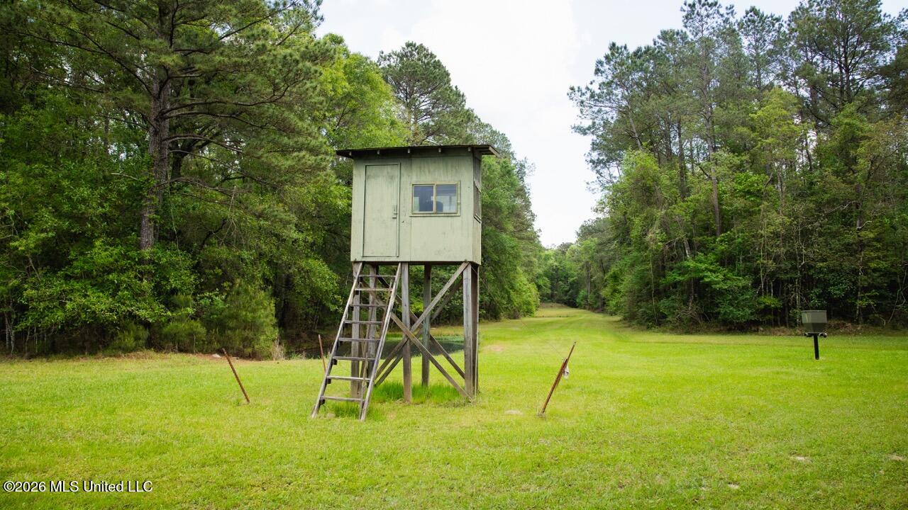 1979 Leman Road Oakdale, LA 71463 - Photo 31 of 44 0R6C9959 Large