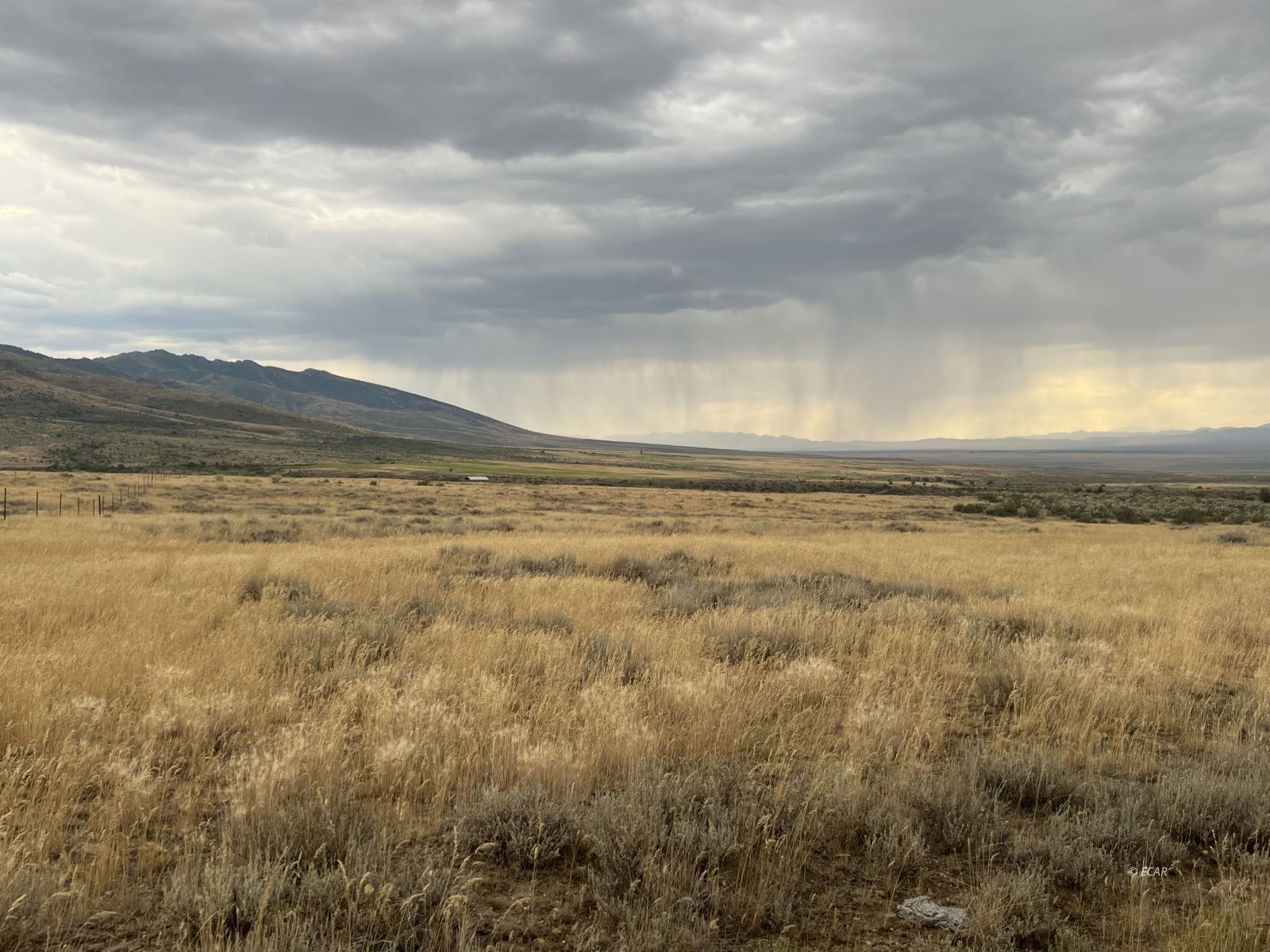 Smith Creek Ranch Spring Creek, NV 89815 - Photo 4 of 9