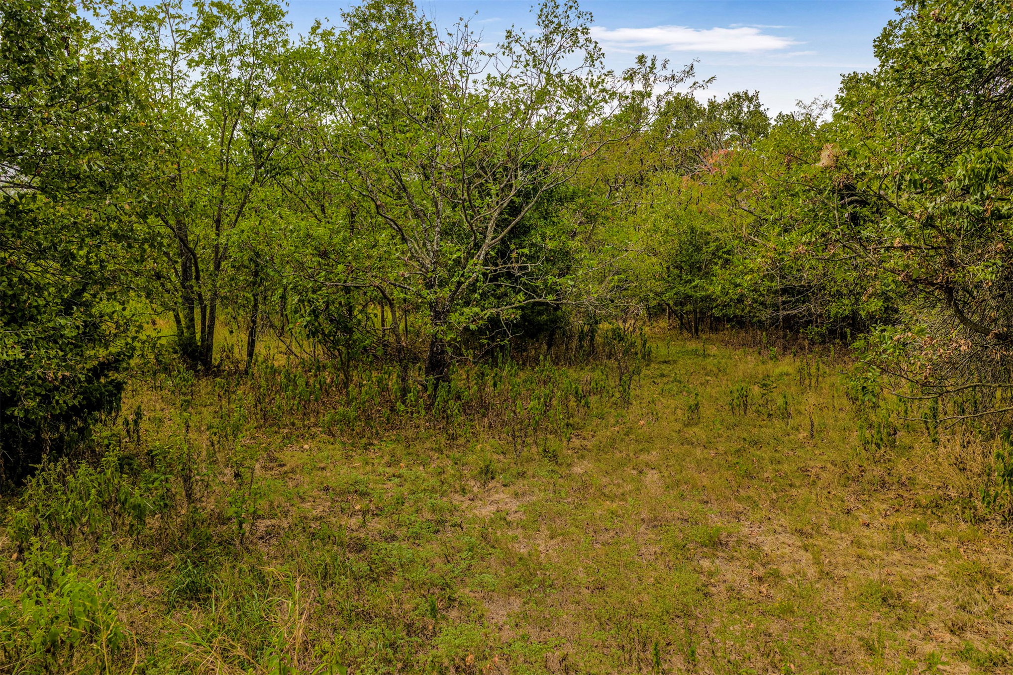 King Road Claremore, OK 74019 - Photo 13 of 45 Expansive natural landscape featuring varied vegetation