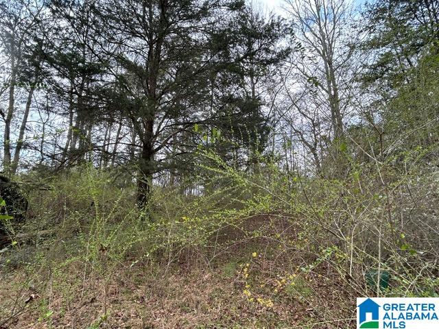 66 Shady Lane, Unit 7678 Ohatchee, AL 36271 - Photo 5 of 12