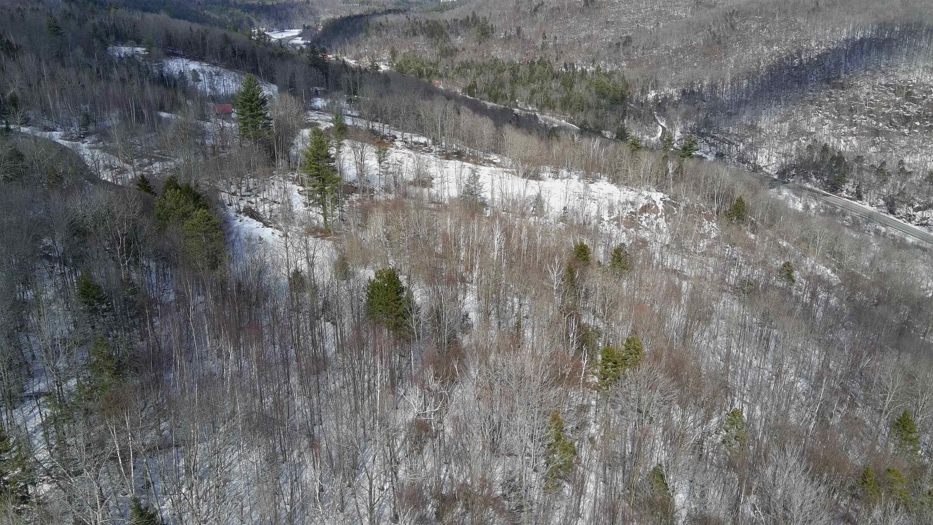 Lot 3 Thurston Hill Road Roxbury, VT 05669 - Photo 15 of 16