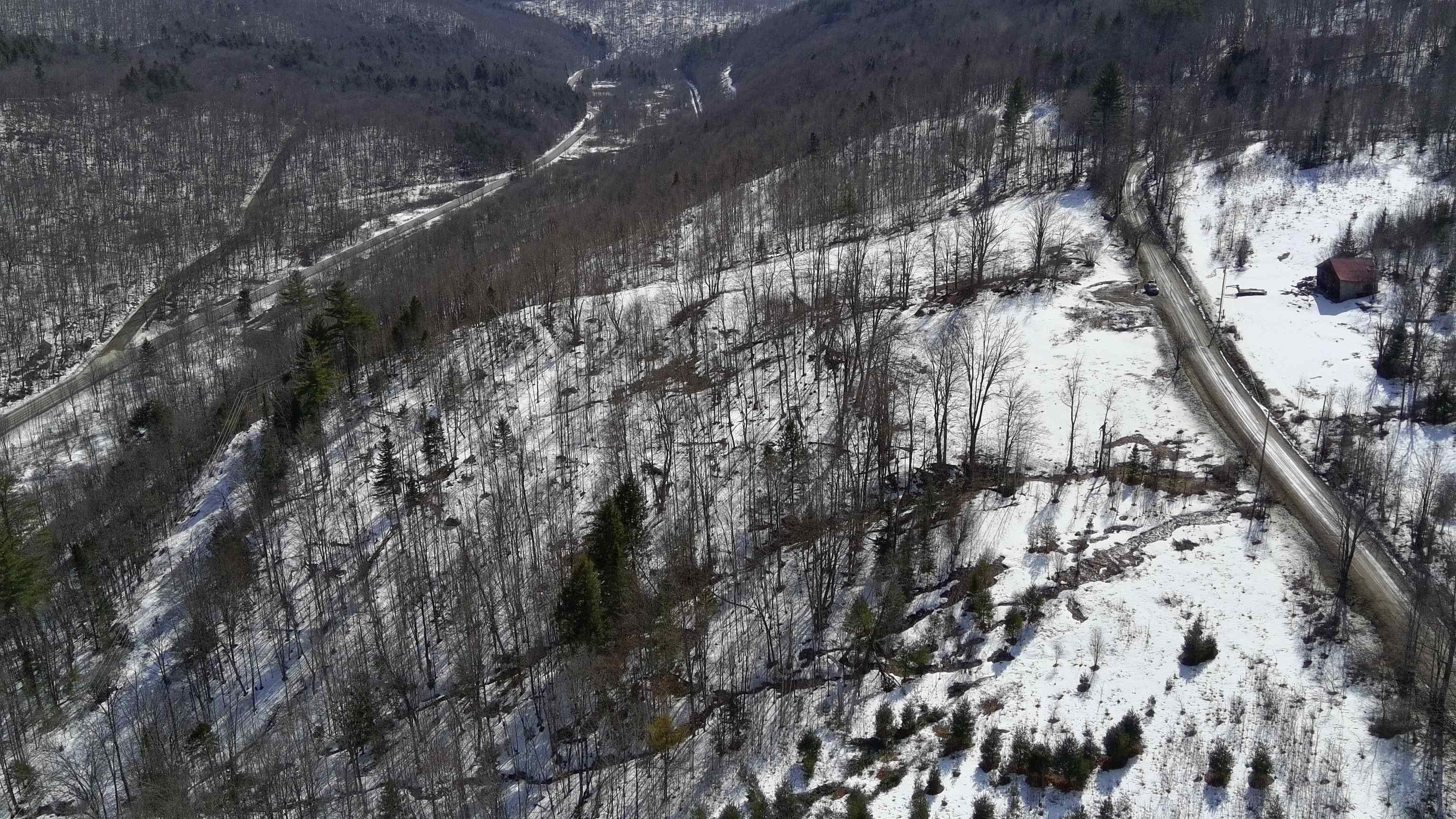 Lot 3 Thurston Hill Road Roxbury, VT 05669 - Photo 3 of 16