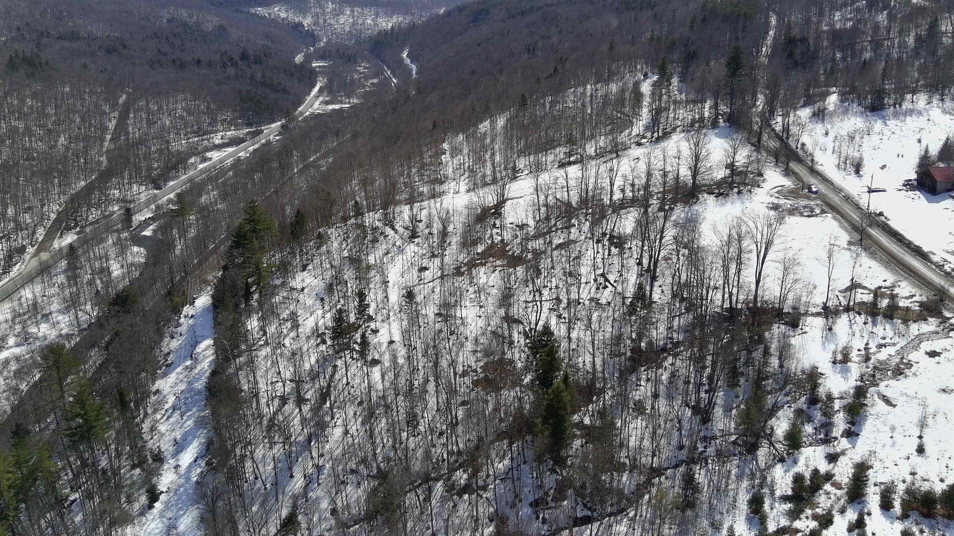 Lot 3 Thurston Hill Road Roxbury, VT 05669 - Photo 5 of 16