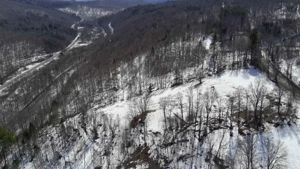 $125,000 | Lot 3 Thurston Hill Road, Roxbury, VT 05669