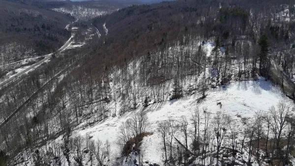 $125,000 | Lot 3 Thurston Hill Road, Roxbury, VT 05669