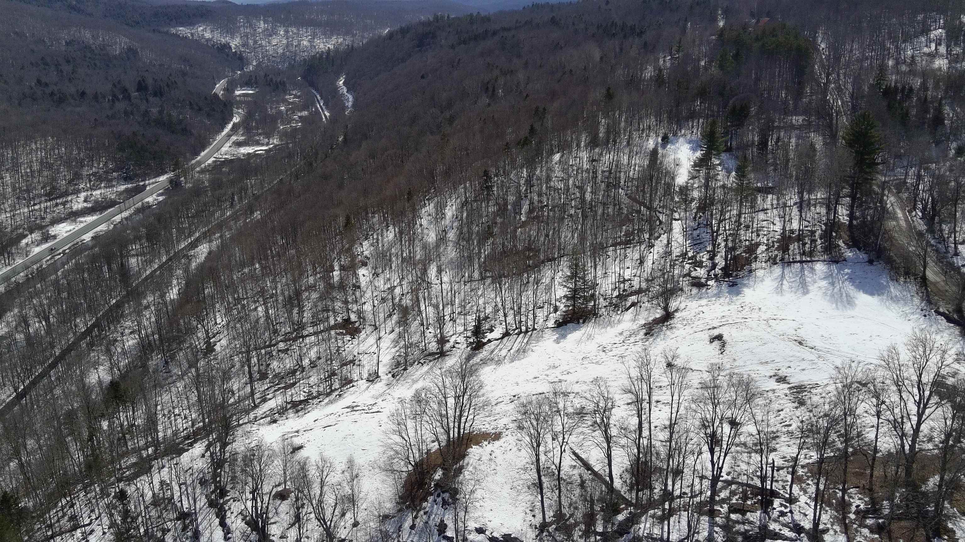 Lot 3 Thurston Hill Road Roxbury, VT 05669 - Photo 7 of 16