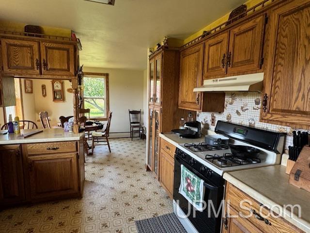 14320 Evergreen Road Rock, MI 49880 - Photo 12 of 21