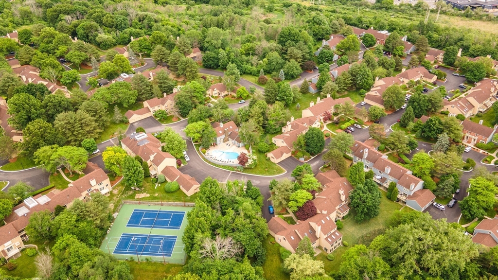 115 Village Post Road, Unit 115 Danvers, MA 01923 - Photo 31 of 36 a picture of flowers