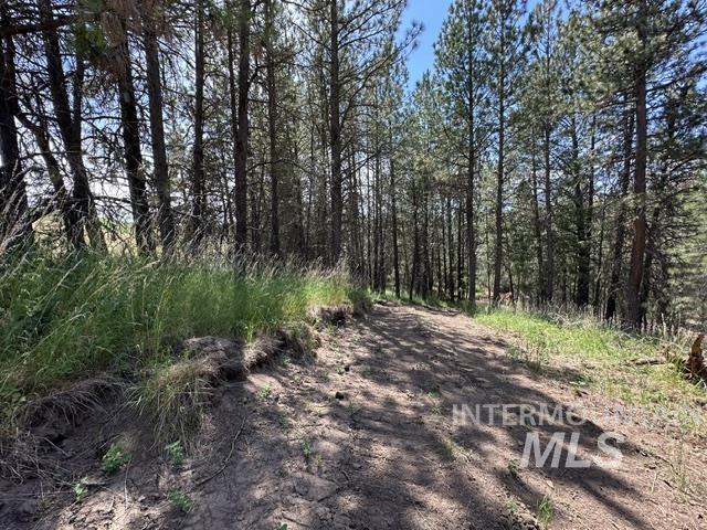 0 Parkins Road Troy, ID 83871 - Photo 27 of 33