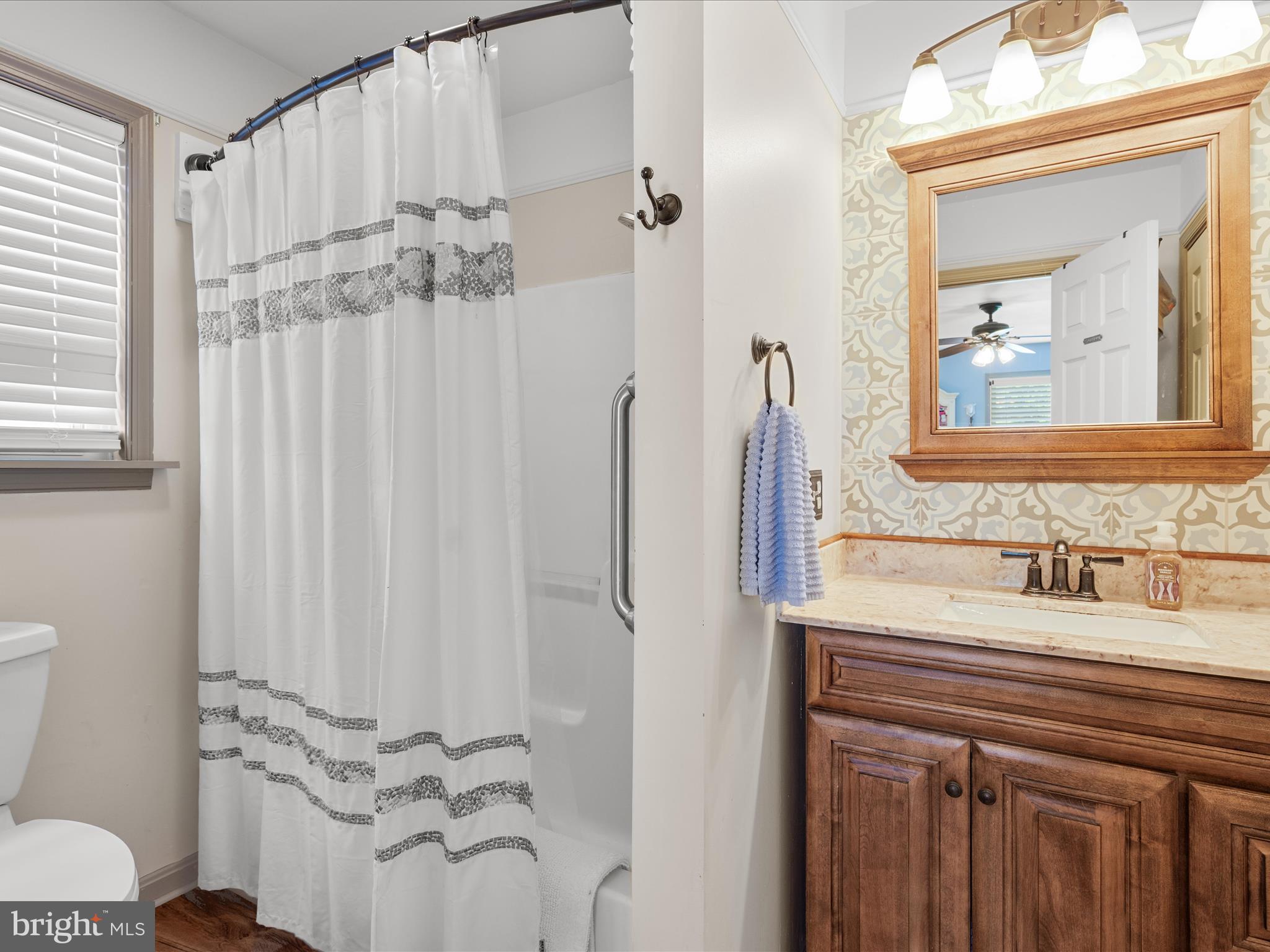 16869 West Randor Drive Milton, DE 19968 - Photo 38 of 76 a bathroom with a sink vanity mirror and toilet
