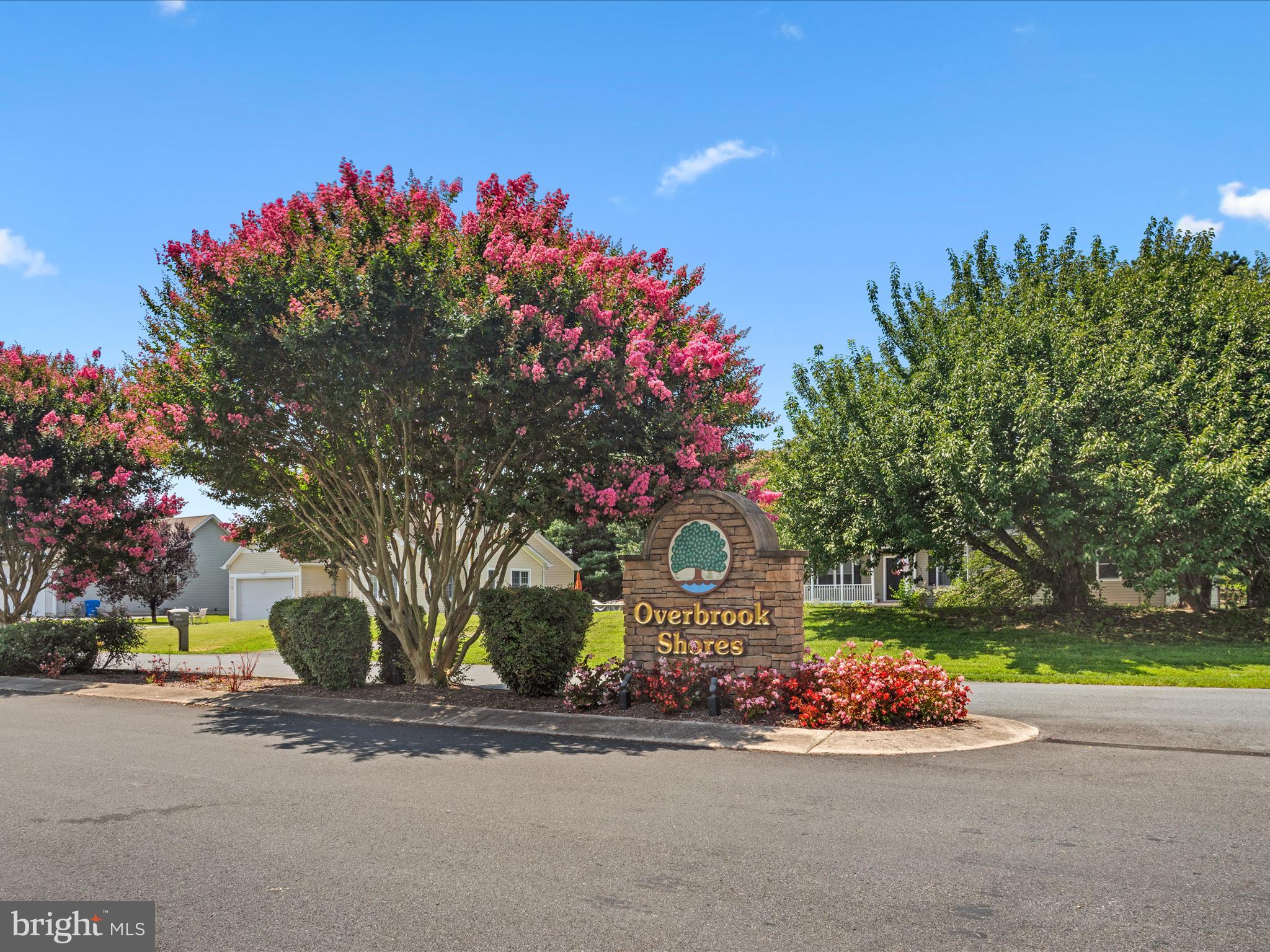 16869 West Randor Drive Milton, DE 19968 - Photo 58 of 76 a front view of a house with tree s