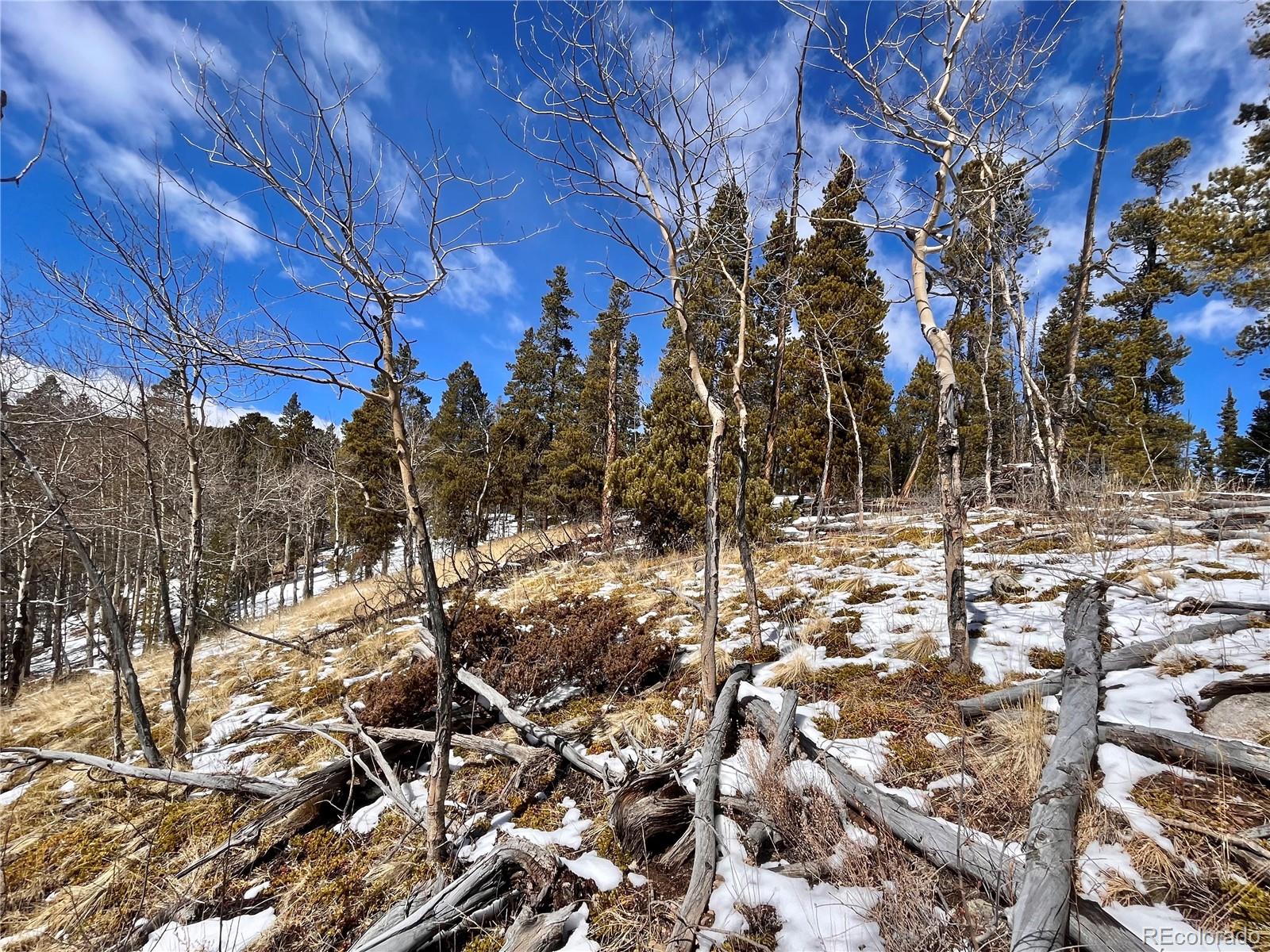 659 Venture Road Fairplay, CO 80440 - Photo 15 of 38 Gallery Image 15