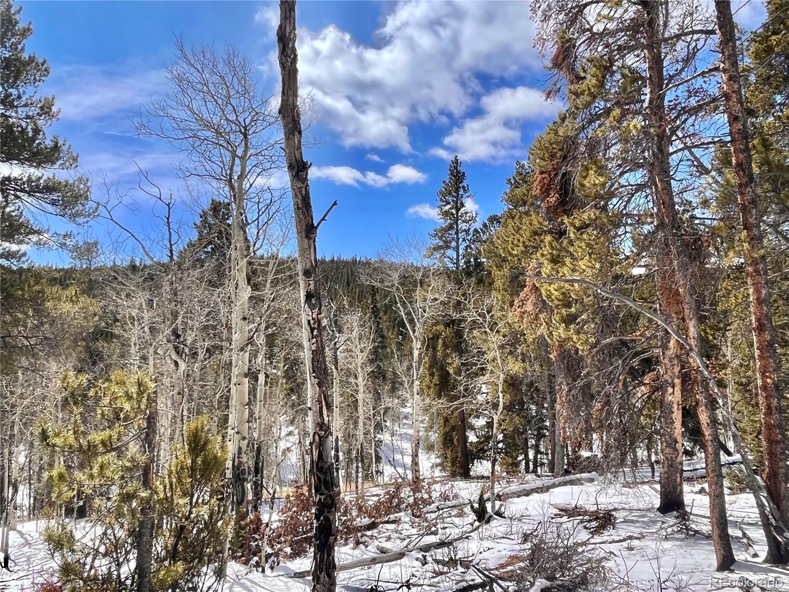 659 Venture Road Fairplay, CO 80440 - Photo 25 of 38 Gallery Image 25